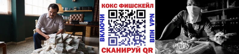 купить наркотики цена  Няндома  COCAIN FishScale 