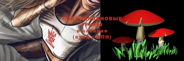 хмурый Богородицк