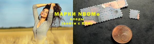хмурый Богородицк