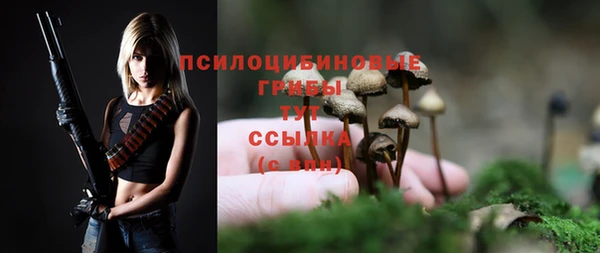 скорость Богданович