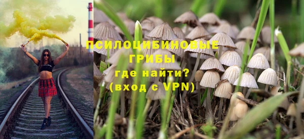 дмт Богородск