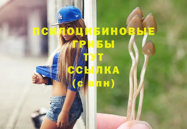 дмт Богородск