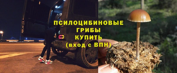 хмурый Богородицк