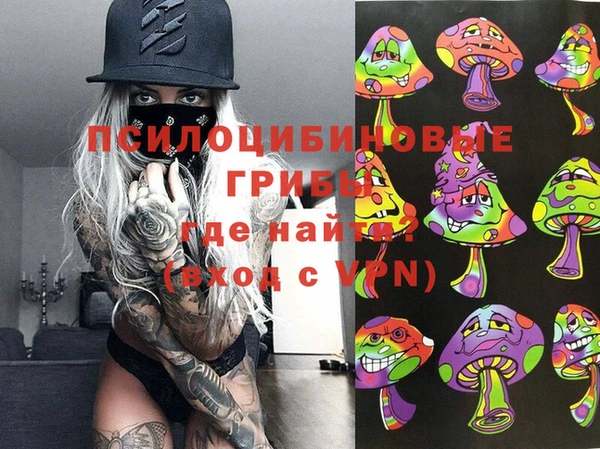 хмурый Богородицк