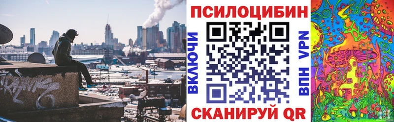 нарко площадка состав  Няндома  Псилоцибиновые грибы MAGIC MUSHROOMS 